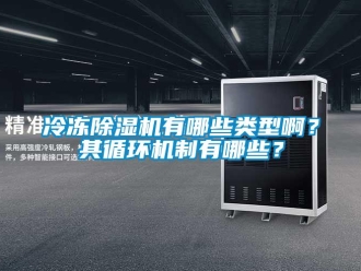 行業(yè)新聞冷凍除濕機有哪些類型啊？其循環(huán)機制有哪些？