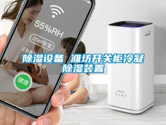 行業(yè)新聞除濕設備 濰坊開關柜冷凝除濕裝置