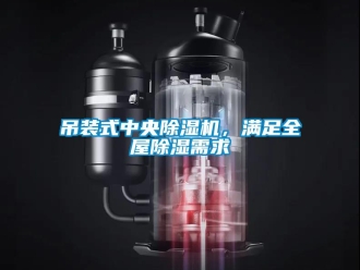 企業(yè)新聞吊裝式中央除濕機(jī)，滿足全屋除濕需求