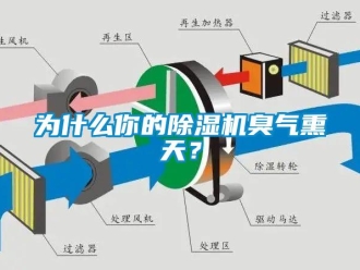 知識百科為什么你的除濕機(jī)臭氣熏天？