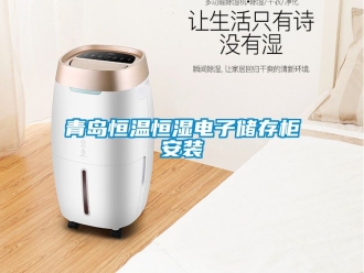 知識(shí)百科青島恒溫恒濕電子儲(chǔ)存柜安裝