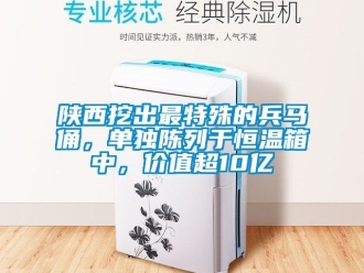知識百科陜西挖出最特殊的兵馬俑，單獨陳列于恒溫箱中，價值超10億