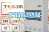 朗力信食品廠吊頂式除濕機(jī)，快速去除水汽與冷凝水