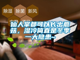 知識(shí)百科仙人掌都可以長(zhǎng)出蘑菇，濕冷簡(jiǎn)直是冬季一大隱患~
