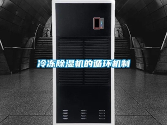 行業(yè)新聞冷凍除濕機的循環(huán)機制