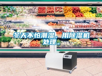 企業(yè)新聞冬天不怕潮濕，用除濕機處理。