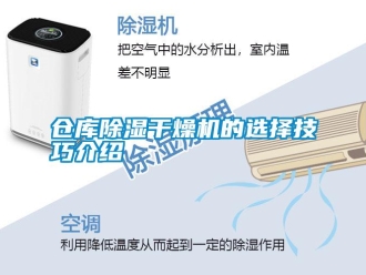 企業(yè)新聞倉庫除濕干燥機的選擇技巧介紹