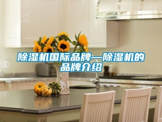 企業(yè)新聞除濕機國際品牌—除濕機的品牌介紹