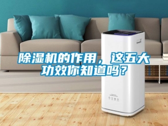 企業(yè)新聞除濕機(jī)的作用，這五大功效你知道嗎？