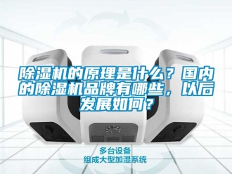 企業(yè)新聞除濕機的原理是什么？國內(nèi)的除濕機品牌有哪些，以后發(fā)展如何？