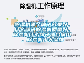 企業(yè)新聞除濕機(jī)哪個(gè)牌子效果好，什么牌子除濕機(jī)質(zhì)量好，除濕機(jī)什么牌子適合家用，除濕機(jī)十大品牌