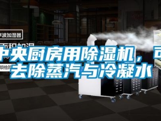 知識(shí)百科中央廚房用除濕機(jī)，可去除蒸汽與冷凝水