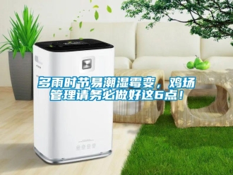 企業(yè)新聞多雨時節(jié)易潮濕霉變，雞場管理請務(wù)必做好這6點！