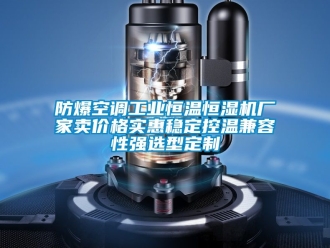 知識百科防爆空調(diào)工業(yè)恒溫恒濕機廠家賣價格實惠穩(wěn)定控溫兼容性強選型定制