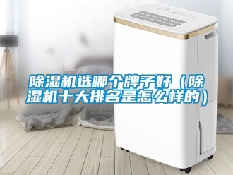 行業(yè)新聞除濕機(jī)選哪個牌子好（除濕機(jī)十大排名是怎么樣的）