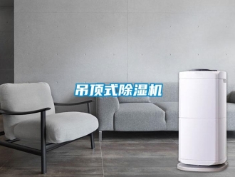 企業(yè)新聞吊頂式除濕機