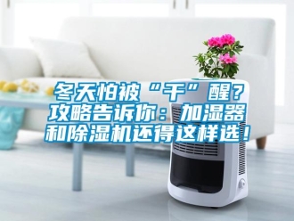 企業(yè)新聞冬天怕被“干”醒？攻略告訴你：加濕器和除濕機還得這樣選！
