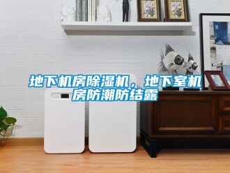 企業(yè)新聞地下機(jī)房除濕機(jī)，地下室機(jī)房防潮防結(jié)露