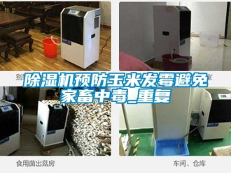 行業(yè)新聞除濕機預防玉米發(fā)霉避免家畜中毒_重復