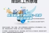 除濕機(jī)哪個(gè)品牌好？這樣選擇沒問題