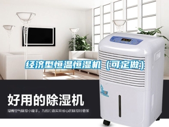 知識(shí)百科經(jīng)濟(jì)型恒溫恒濕機(jī)（可定做）