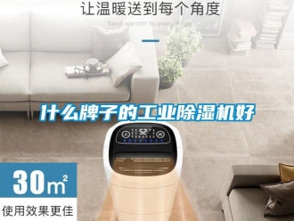 知識(shí)百科什么牌子的工業(yè)除濕機(jī)好