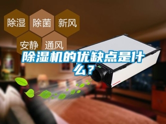 企業(yè)新聞除濕機(jī)的優(yōu)缺點(diǎn)是什么？
