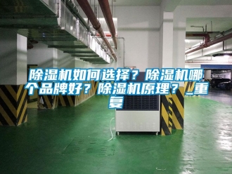 企業(yè)新聞除濕機如何選擇？除濕機哪個品牌好？除濕機原理？_重復