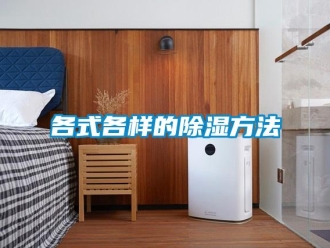 企業(yè)新聞各式各樣的除濕方法