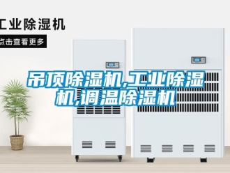 企業(yè)新聞吊頂除濕機,工業(yè)除濕機,調(diào)溫除濕機