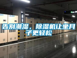 企業(yè)新聞告別潮濕，除濕機讓坐月子更輕松
