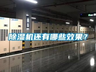 行業(yè)新聞除濕機還有哪些效果？