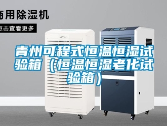 知識(shí)百科青州可程式恒溫恒濕試驗(yàn)箱（恒溫恒濕老化試驗(yàn)箱）