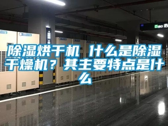 企業(yè)新聞除濕烘干機(jī) 什么是除濕干燥機(jī)？其主要特點(diǎn)是什么