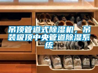 企業(yè)新聞吊頂管道式除濕機，吊裝吸頂中央管道除濕系統(tǒng)