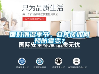 企業(yè)新聞面對潮濕季節(jié)，倉庫該如何預防霉變？