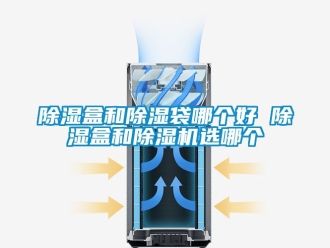 企業(yè)新聞除濕盒和除濕袋哪個好 除濕盒和除濕機(jī)選哪個