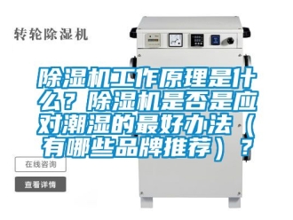 企業(yè)新聞除濕機(jī)工作原理是什么？除濕機(jī)是否是應(yīng)對(duì)潮濕的最好辦法（有哪些品牌推薦）？