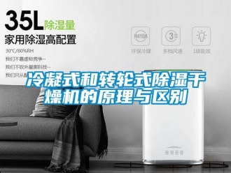 行業(yè)新聞冷凝式和轉(zhuǎn)輪式除濕干燥機(jī)的原理與區(qū)別