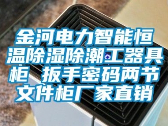 知識百科金河電力智能恒溫除濕除潮工器具柜 扳手密碼兩節(jié)文件柜廠家直銷