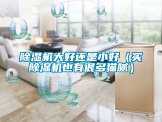 企業(yè)新聞除濕機大好還是小好（買除濕機也有很多貓膩）