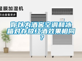 行業(yè)新聞你以為酒窖空調(diào)和冰箱對存放紅酒效果相同？
