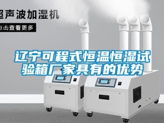 知識(shí)百科遼寧可程式恒溫恒濕試驗(yàn)箱廠家具有的優(yōu)勢(shì)