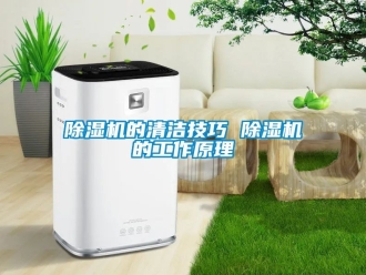 企業(yè)新聞除濕機(jī)的清潔技巧 除濕機(jī)的工作原理