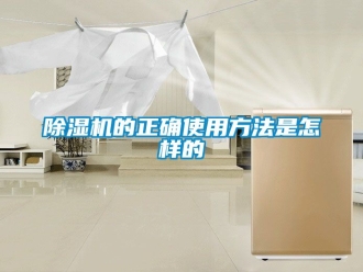 企業(yè)新聞除濕機(jī)的正確使用方法是怎樣的