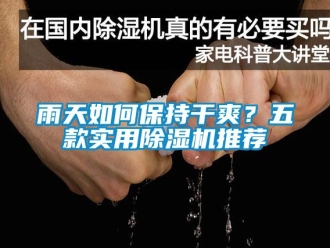 行業(yè)新聞雨天如何保持干爽？五款實用除濕機(jī)推薦