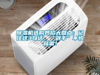 行業(yè)新聞除濕機(jī)選購妙招大盤點(diǎn)：記住這3句話，“剁手”不怕踩雷！