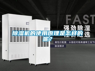 企業(yè)新聞除濕機(jī)的使用原理是怎樣的呢？