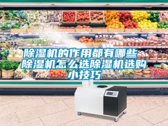 企業(yè)新聞除濕機(jī)的作用都有哪些 除濕機(jī)怎么選除濕機(jī)選購(gòu)小技巧