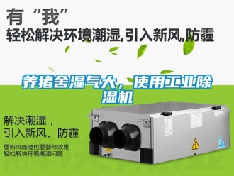 知識(shí)百科養(yǎng)豬舍濕氣大，使用工業(yè)除濕機(jī)